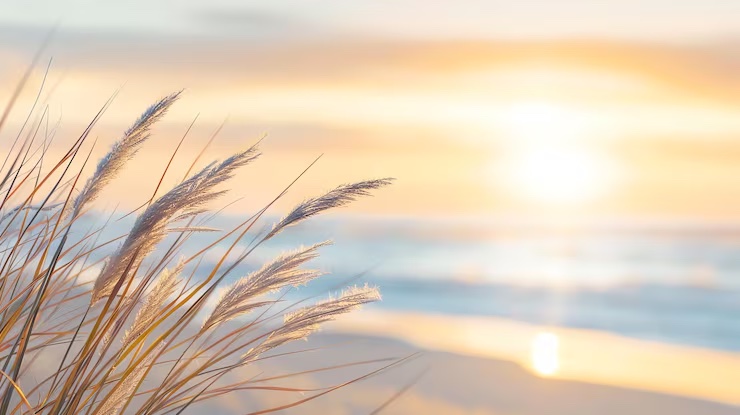 coucherSoleil